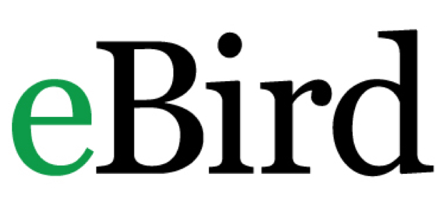 eBird_logo